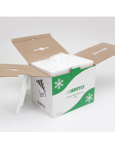 Ravioli al Pistacchio Sicilia freschi non pastorizzati 2